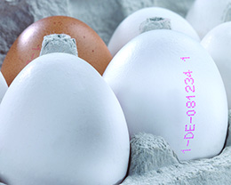 ������ӡʳƷר��īˮ